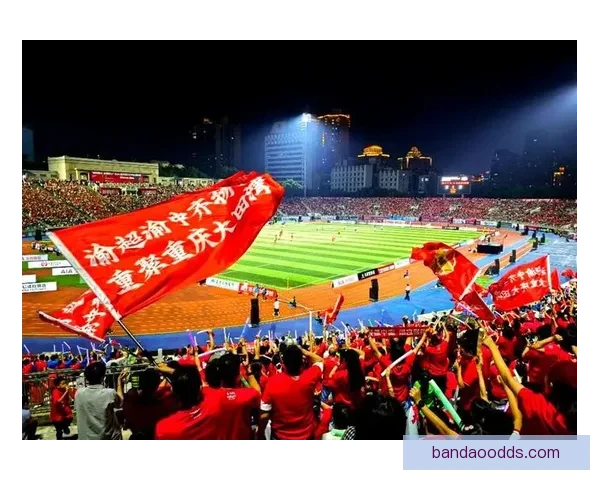 半岛体育手机版：全面提升用户体验，畅享体育赛事精彩瞬间