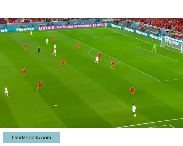 世界杯精彩对决胜负预测全解析让你掌握比赛先机