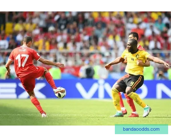 世界杯竞猜赔率网站：精准分析与实时更新助你赢得更多奖金